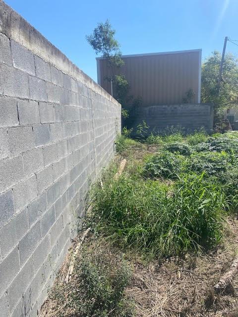 Photo 6 of 223 Schunior Street