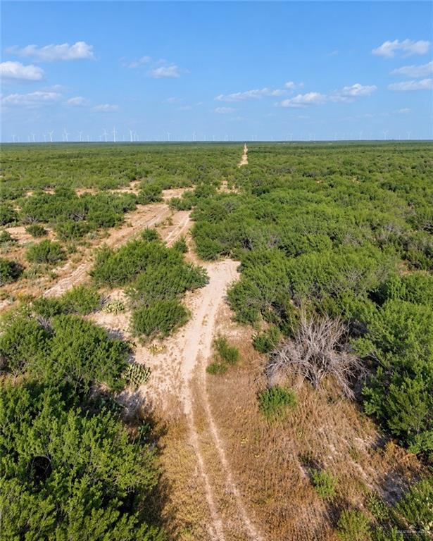 Photo 8 of 00001 FM 3167