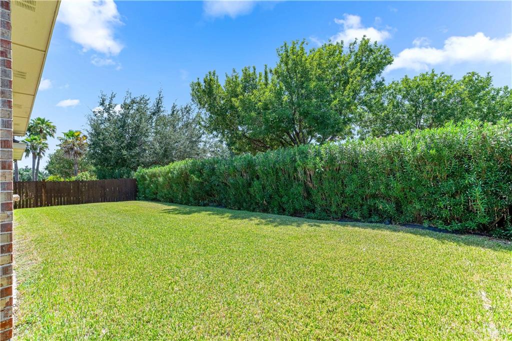 Photo 20 of 3300 Santa Olivia Street