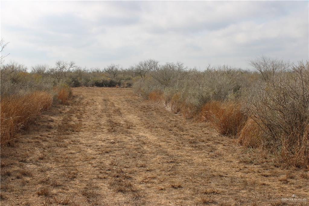 Land home at 0 Private, Encino, Texas