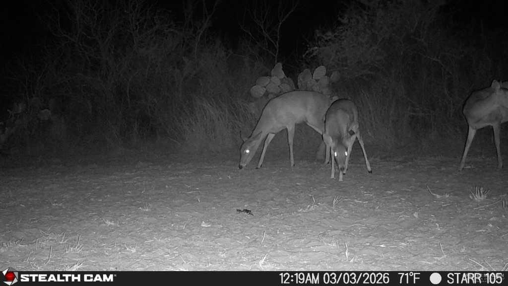 Photo 22 of 0 Private