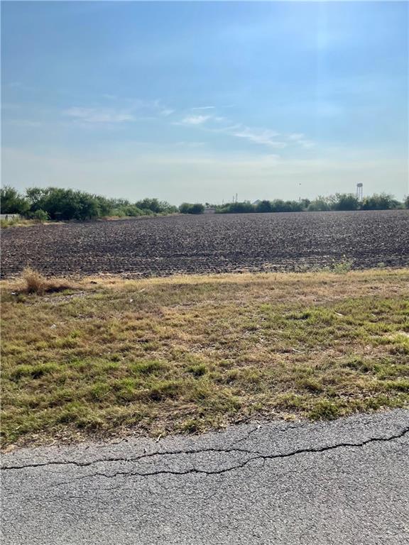 Land home at 0 Lion Lake Drive, Progreso, Texas