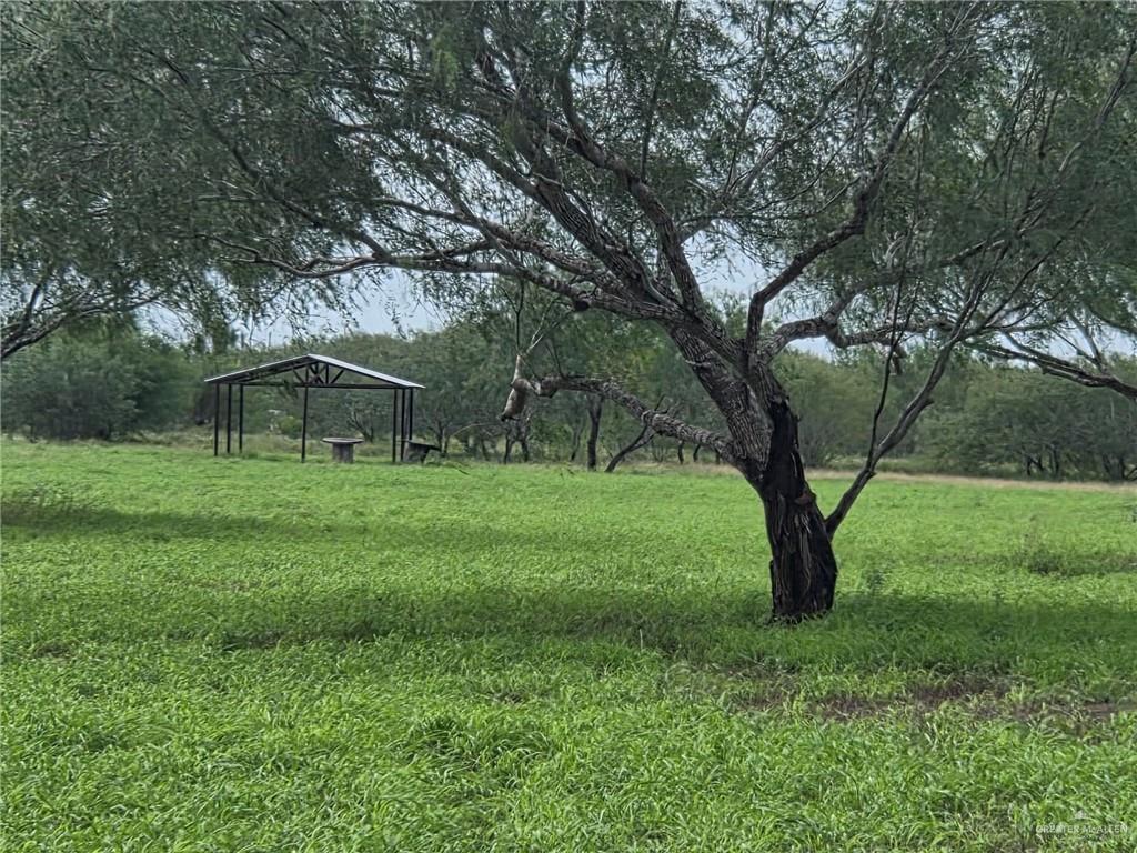 Land home at 19719 Los Venados Drive, Edinburg, Texas