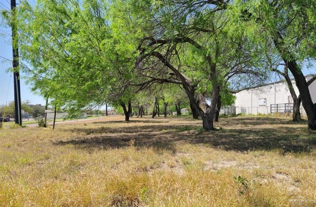 Land home at 424 33rd Street, McAllen, Texas