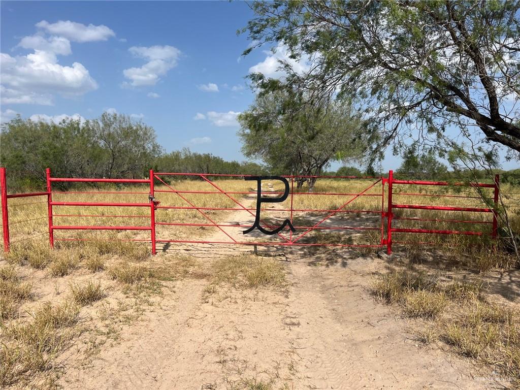 Land home at 53 Mirasoles Street, El Sauz, Texas