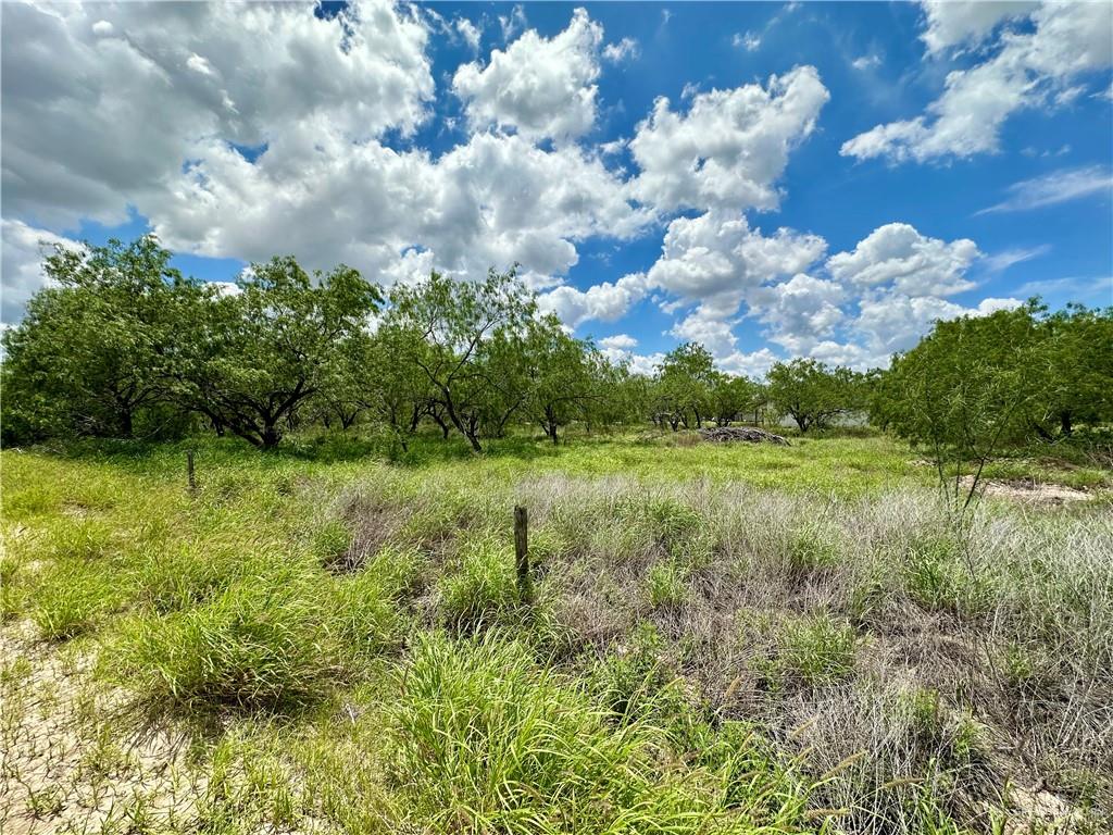 Land home at 0 Calichera Road, Edinburg, Texas