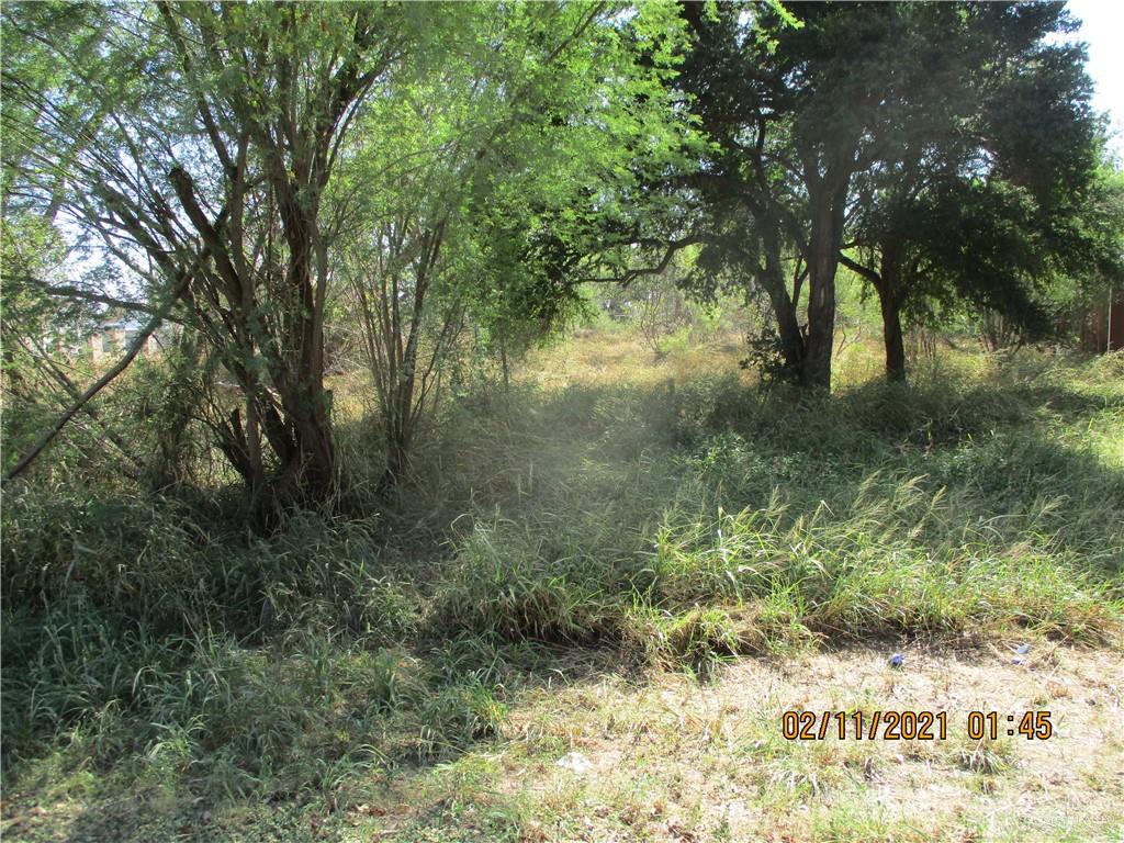 Land home at 0 Mirasoles Street, Rio Grande City, Texas