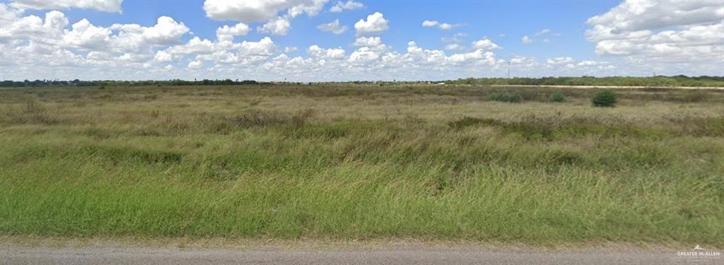 Land home at 000 Los Ebanos Road, Alton, Texas