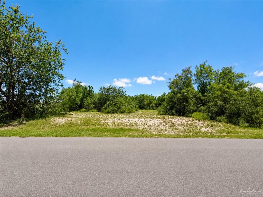 Land home at 000 Monte Cristo Heights Road, Edinburg, Texas